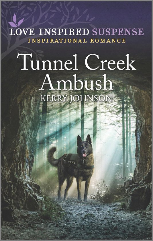 Tunnel Creek Ambush - cover