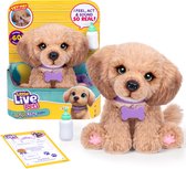 Little Live Pets - My Really Real Puppy Bailey - Interactieve Puppy met Geluiden & Reacties