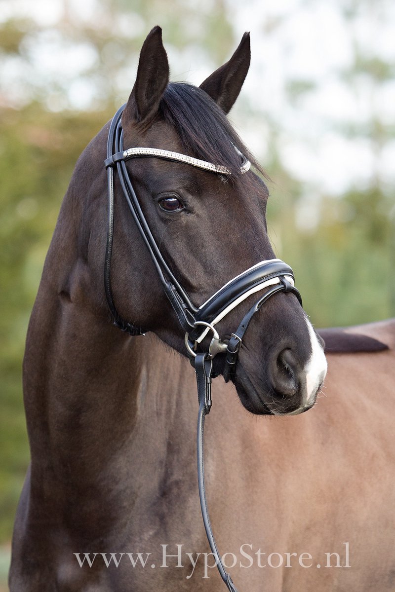 Premiera 'Imperia' Zwart / Wit onderlegd rondgenaaid hoofdstel met bling frontriem - Pony