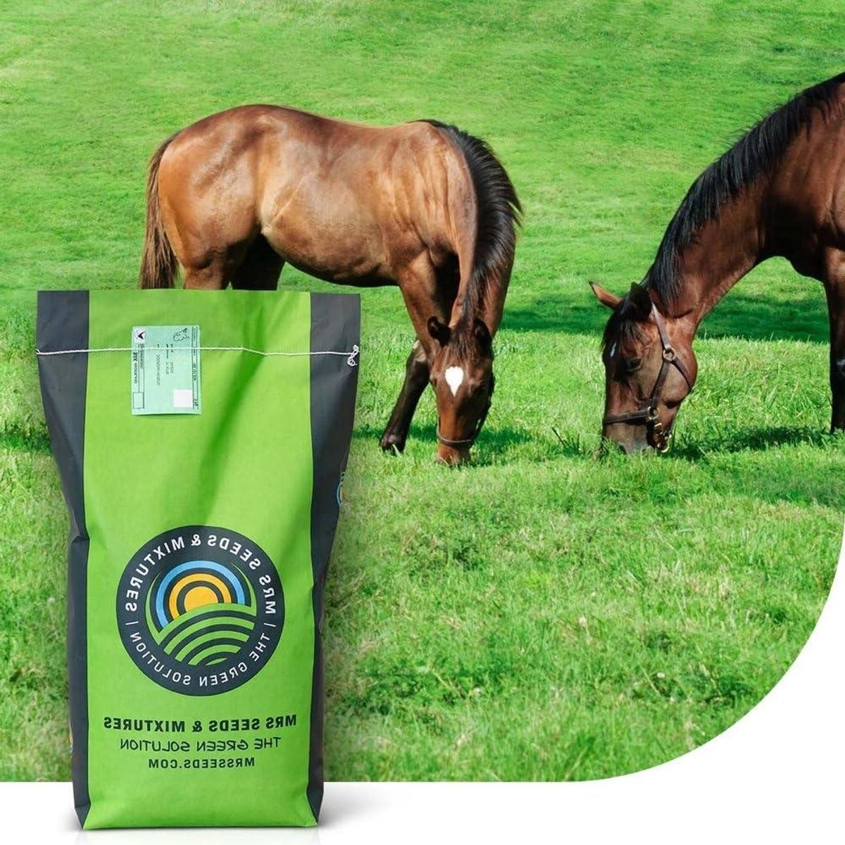 Herstel Graszaad - Paardenweide Mix - Weide Onderhoud - Snelkiemend - 1 kg - Groen