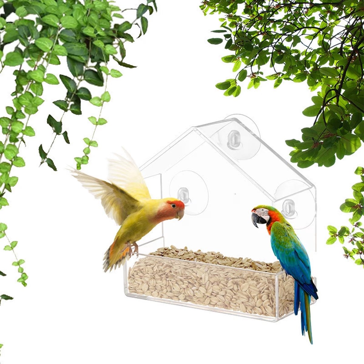 Vogelvoeder voor buiten, vogelvoeder voor buiten, acryl raamvoeders met zuignappen, hangend vogelhuisje met helder raam voor mussen Blue Robins Vinken