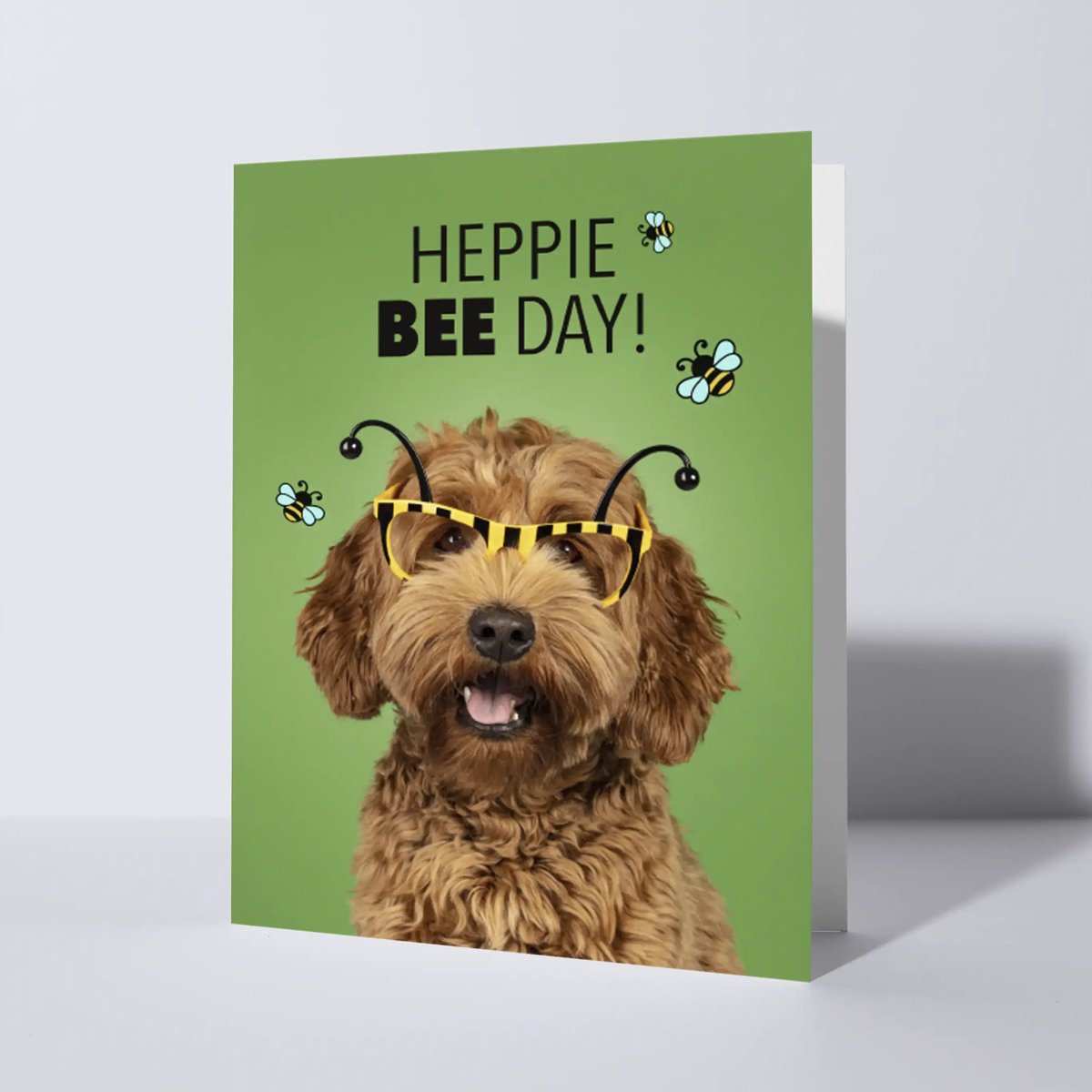 CAT'CHY Cards - wenskaart - verjaardag - hond - labradoodle