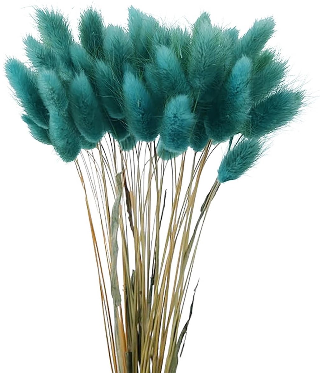 Dailygoods- Gedroogde Bloemen 60 Stuks - Drogen Konijnenstaart - Boho Decoratie - Fluffy B