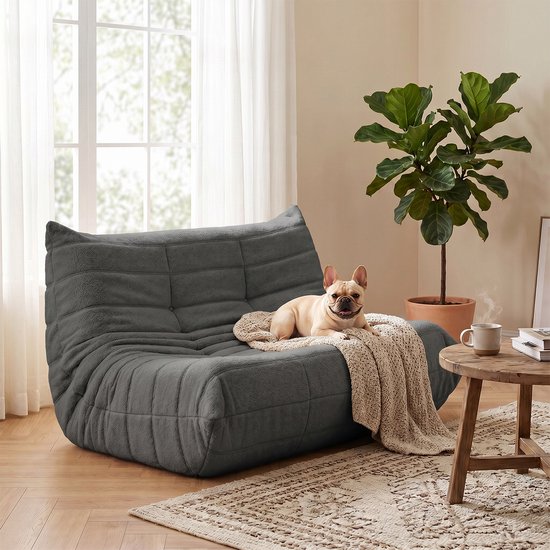 Grijze vloersofa met een hondje op een kleed, zittend in een woonkamer.