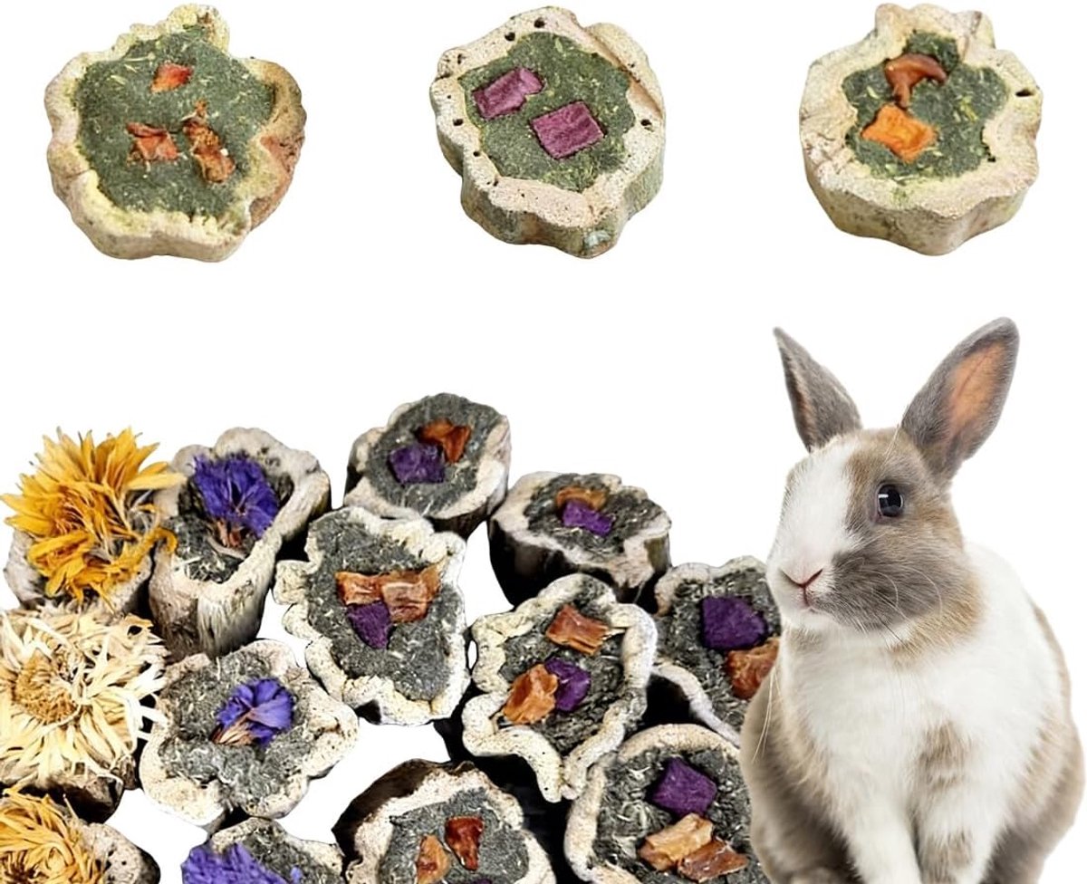Speelgoed voor tanden, konijnen, papaya-hout, snack, tandverzorging