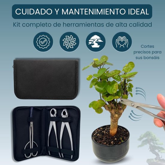 Omgoods - Professionele Bonsai Gereedschap Set voor Onderhoud — afbeelding 4