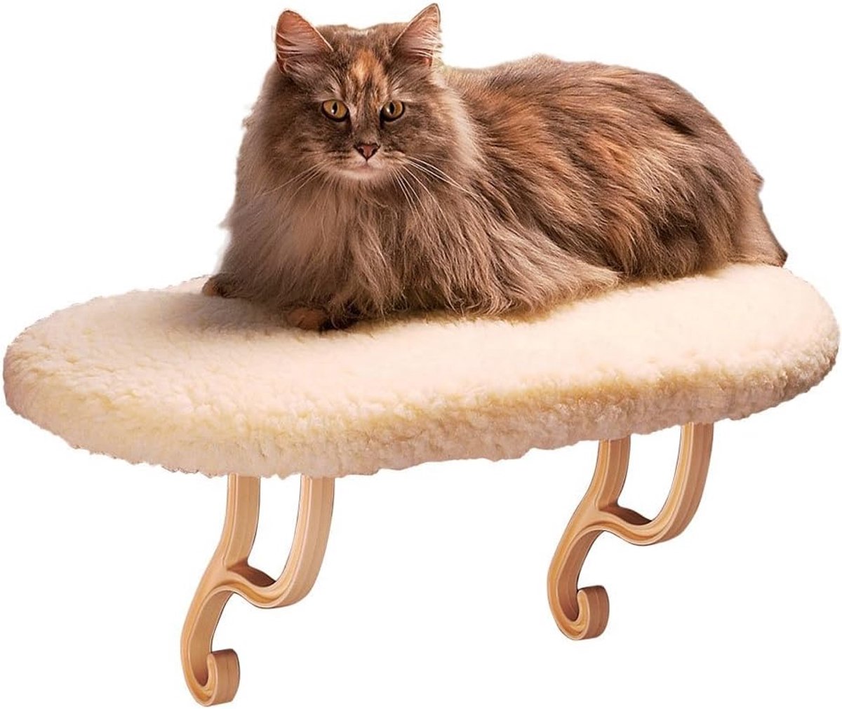 Raam Ledge Bed