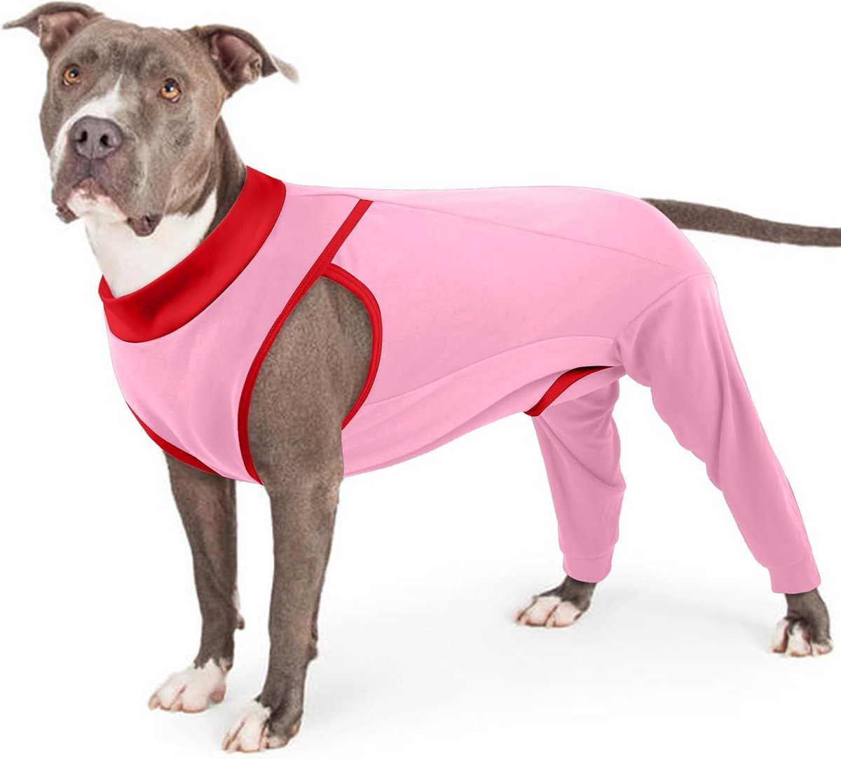 Bandage hond achterbeen, Op Body castratie teef honden Op Body met