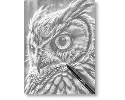 Tête de hibou | Peinture par points | 30x40cm | Toile lâche | Peinture au Diamond et Peinture par numéro alternative | Peinture en pointillé | Cadeau