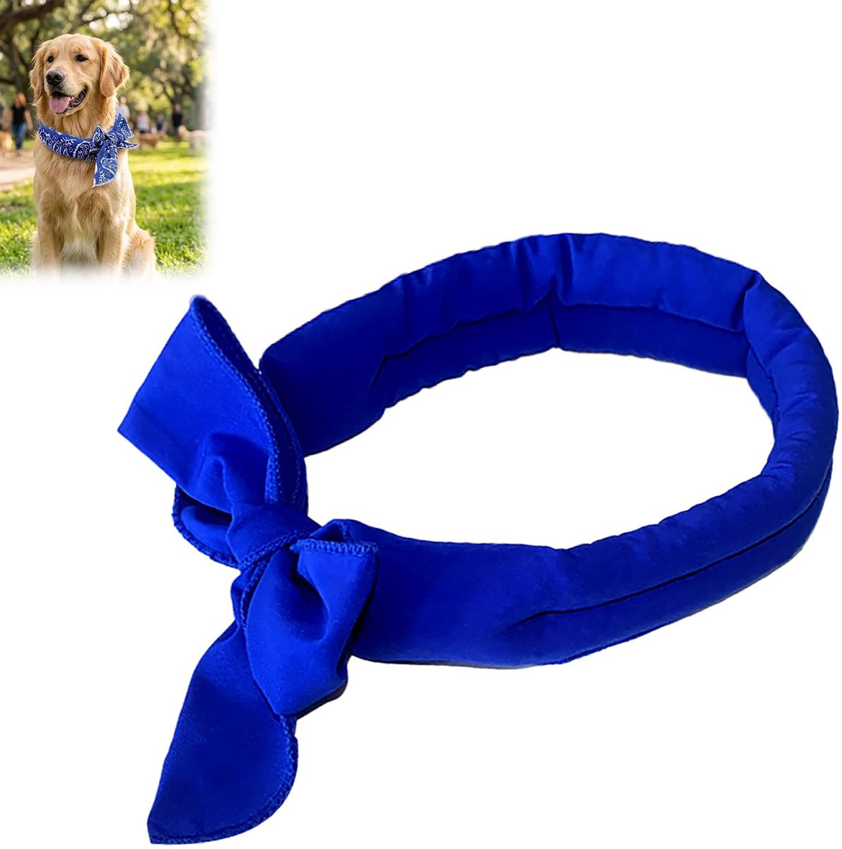 Namajunas - Koelhalsband hond en kat - 5×100cm - Verstelbare verkoelende halsband - Zomer huisdieraccessoire - Voorkomt oververhitting op warme dagen - Voorkomt oververhitting - Decoratieve halsband - Kleurrijk