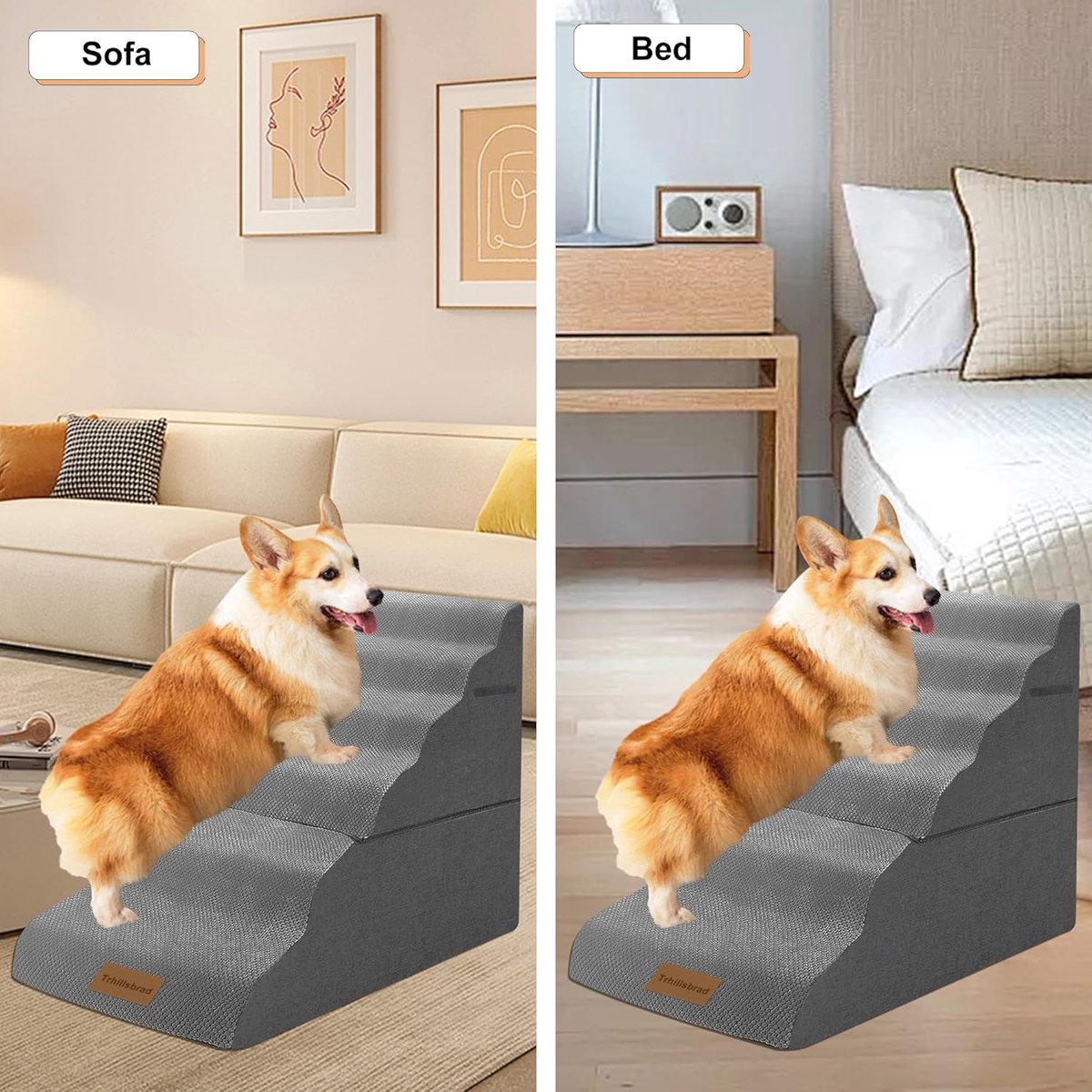 SnelShoppen - 2-in-1 Hondentrap voor Hoge Bedden, 70 cm Hoog, 6 Treden Huisdiertrap voor Kleine en Grote Honden, 30D Schuimstof, Ideaal voor Oude Hond