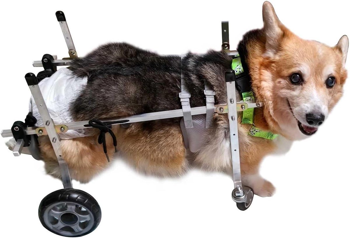 Hondenkar Revalidatie - Hondenrolstoel Huisdierbuggy - Huisdier Mobiliteit - Verstelbaar Ontwerp - Maat S - Zilver