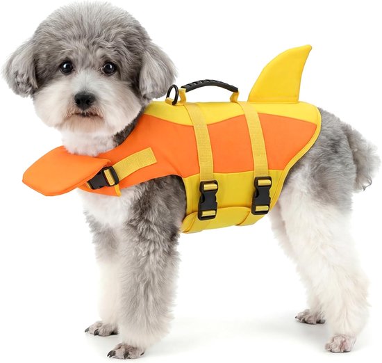 Un petit chien gris portant un gilet de sauvetage orange et jaune avec une aileron de requin.