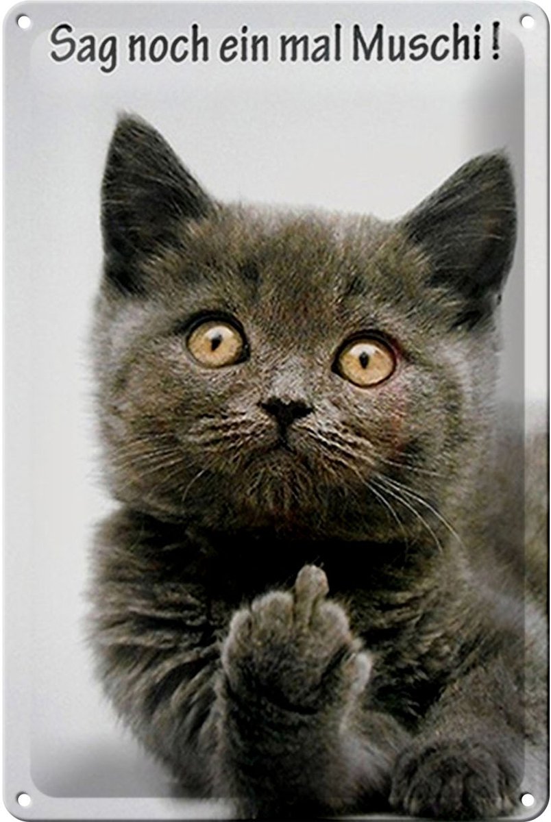 Blechschild Spruch 20x30cm Katze sag noch ein mal Muschi