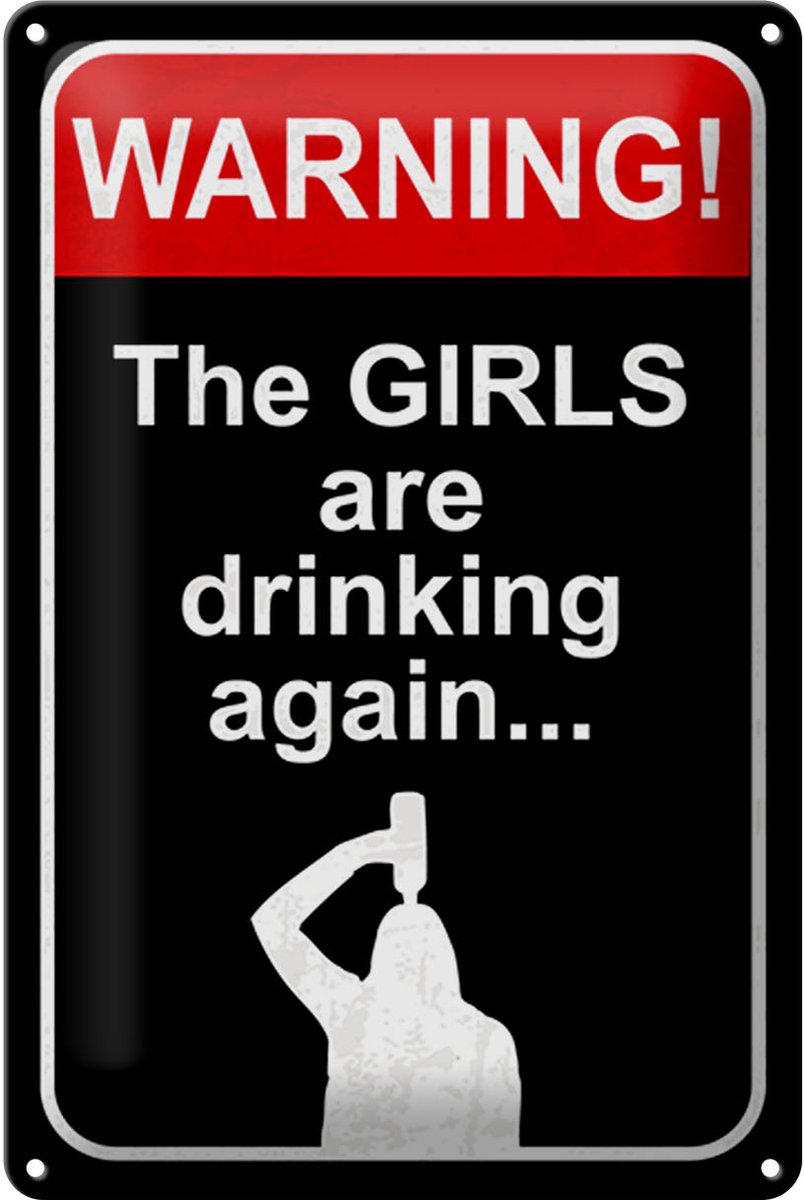 Blechschild Spruch 20x30 cm Warning girls drinking Schild