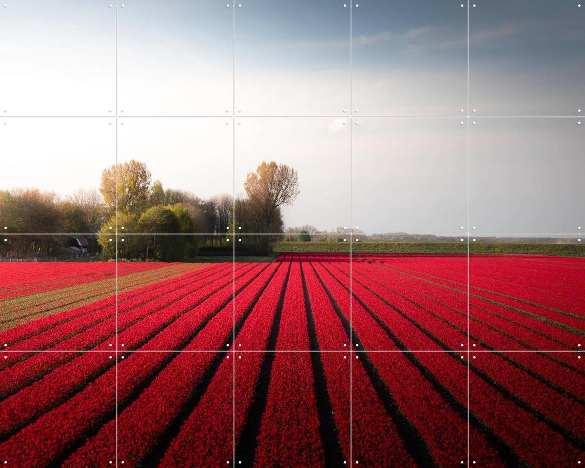 IXXI Red Fields of Spring, Claire Droppert - 100 x 80 cm - Gratis ophangtool - Grote wanddecoratie en posters - Fotografie, Eetkamer, Trap, Gang