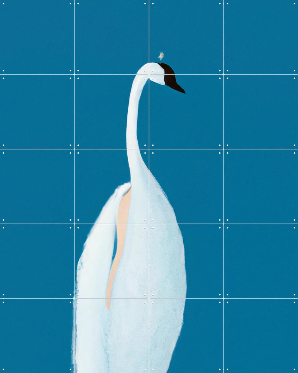 IXXI Swan Maybe, Interiorisla - 80 x 100 cm - Gratis ophangtool - Grote wanddecoratie en posters - Minimalisme, Illustraties, Abstract, Woonkamer