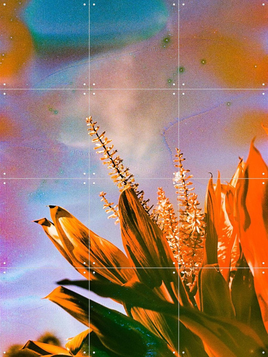 IXXI On the Bright Side, Amber Lauder - 60 x 80 cm - Gratis ophangtool - Grote wanddecoratie en posters - Kleurrijk, Gemengde Technieken, Woonkamer