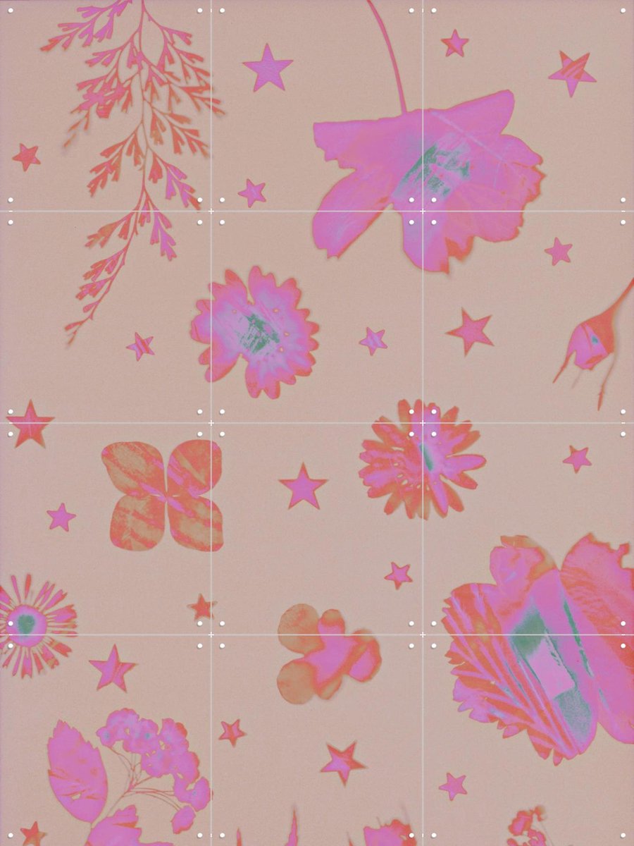 IXXI Manic Pixie Dream Garden, Amber Lauder - 60 x 80 cm - Gratis ophangtool - Grote wanddecoratie en posters - Fantasierijk, Gemengde Technieken