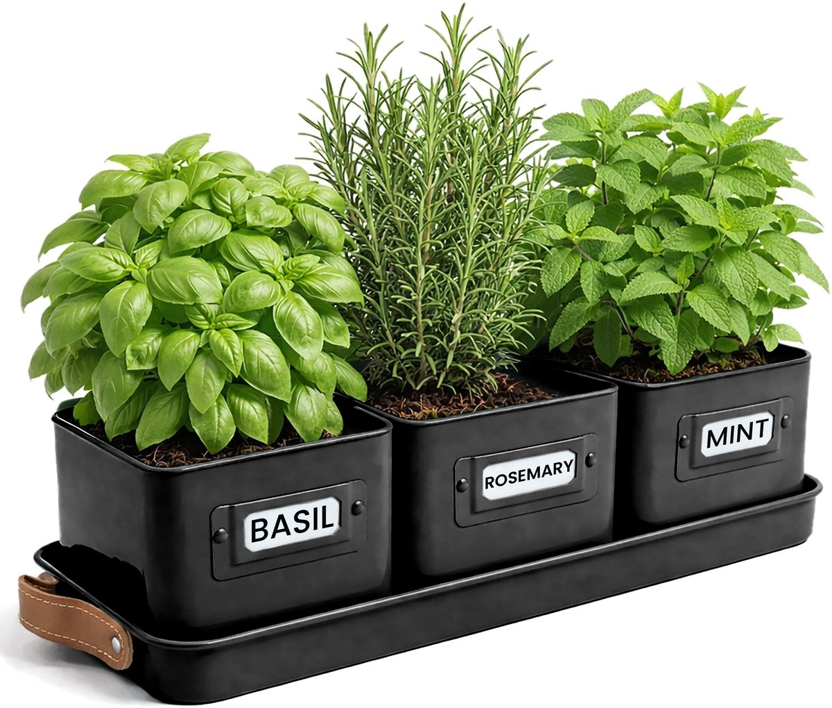 Set van 3 Kruidenpotten - Ideaal voor een kruidentuin, planten en bloemen binnenshuis, Inclusief labels