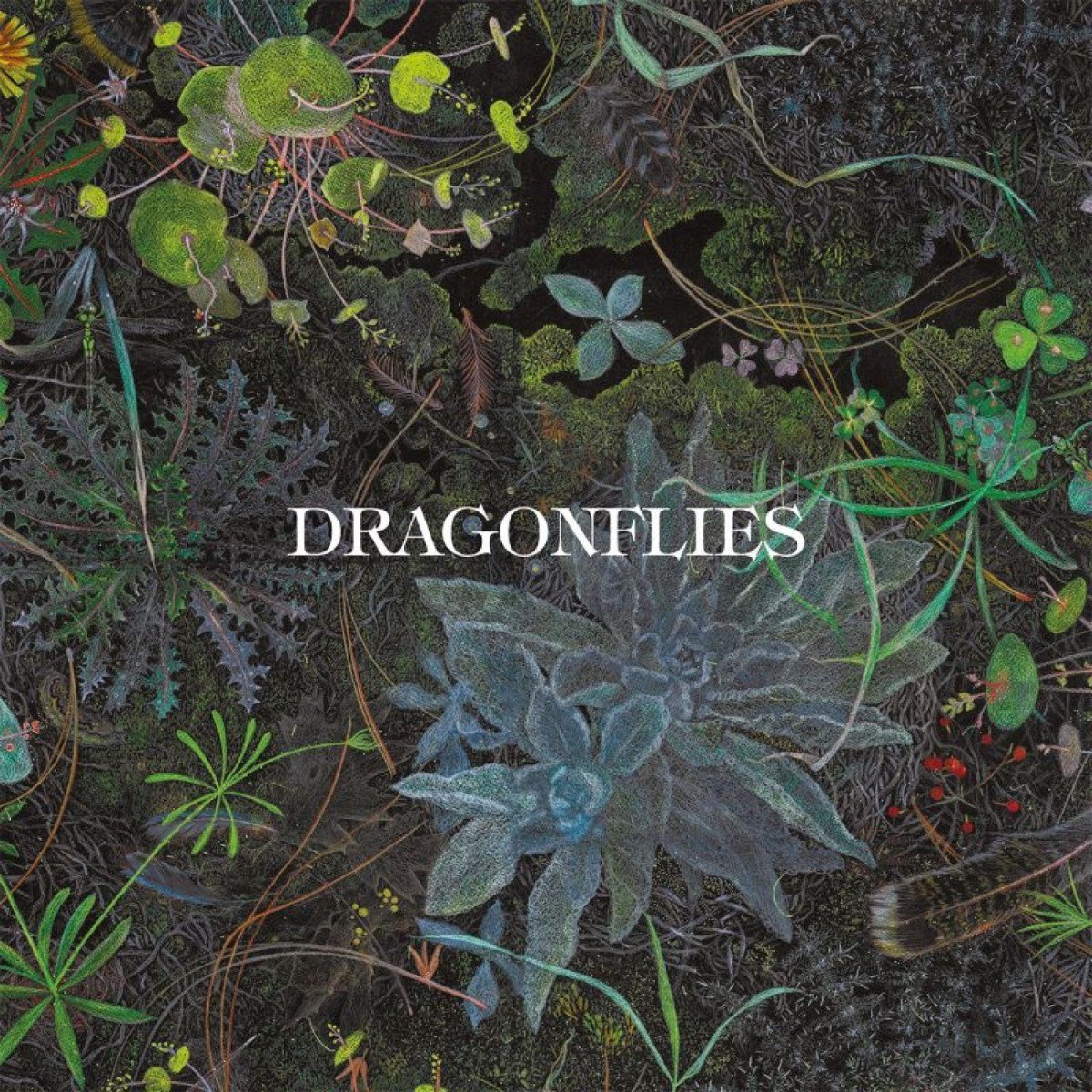 The Dragonflies - Dragonflies (LP)