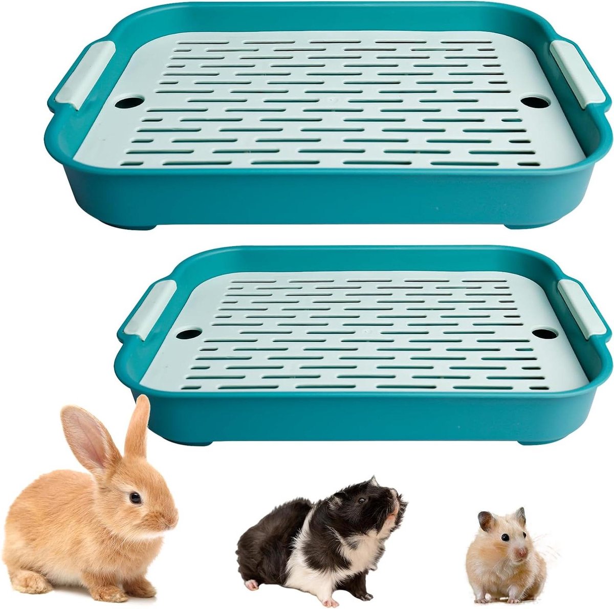 Konijnen Katten Toilet - Potjestrainer Huisdier - Zindelijkheidstraining Dieren - Dubbellaags Ontwerp - 2 maten - Groen