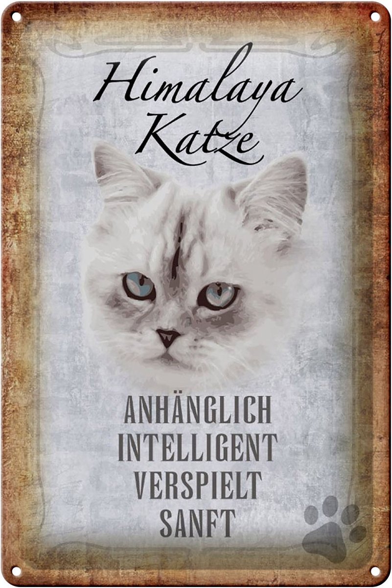 Blechschild Spruch 20x30cm Himalaya Katze sanft Schild
