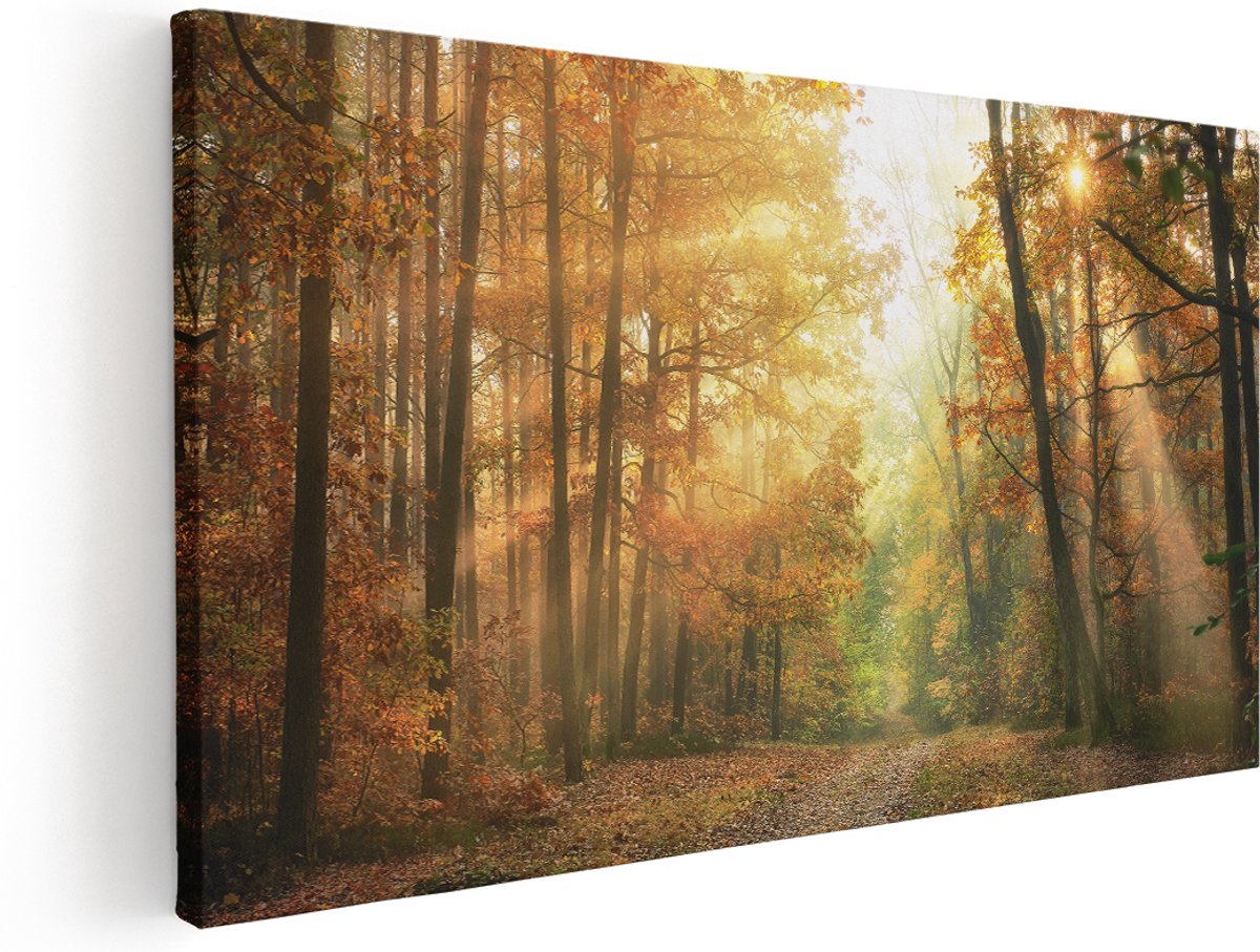 Artaza Canvas Schilderij Herfstbos Met Zonneschijn - 180x90 cm - Groot - Wanddecoratie Woonkamer - Schilderijen - Muurdecoratie