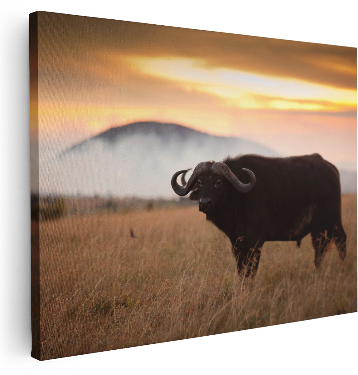 Artaza Canvas Schilderij Buffel in het Gras - 160x120 cm - Groot - Wanddecoratie Woonkamer - Schilderijen - Muurdecoratie