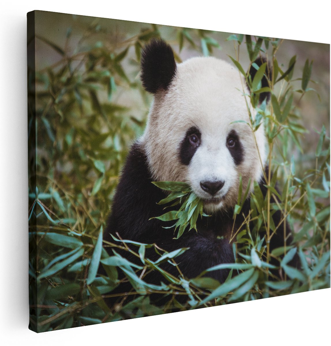 Artaza Canvas Schilderij Panda Eet Planten - 160x120 cm - Groot - Wanddecoratie Woonkamer - Schilderijen - Muurdecoratie