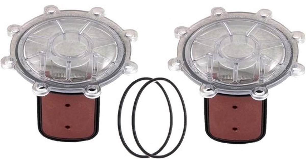Terugslagklep Reparatie Set - Vervangingsonderdelen voor Zwembad Klep Cover met Flapper en Veer (2 Stuks)