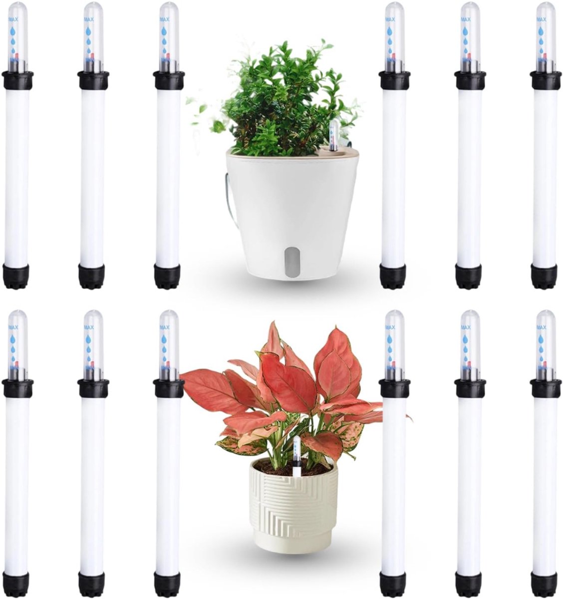 DYVNS® Watermeter voor Kamerplanten - Vochtmeter voor Planten - Waterpeilindicatoren - Set van 12