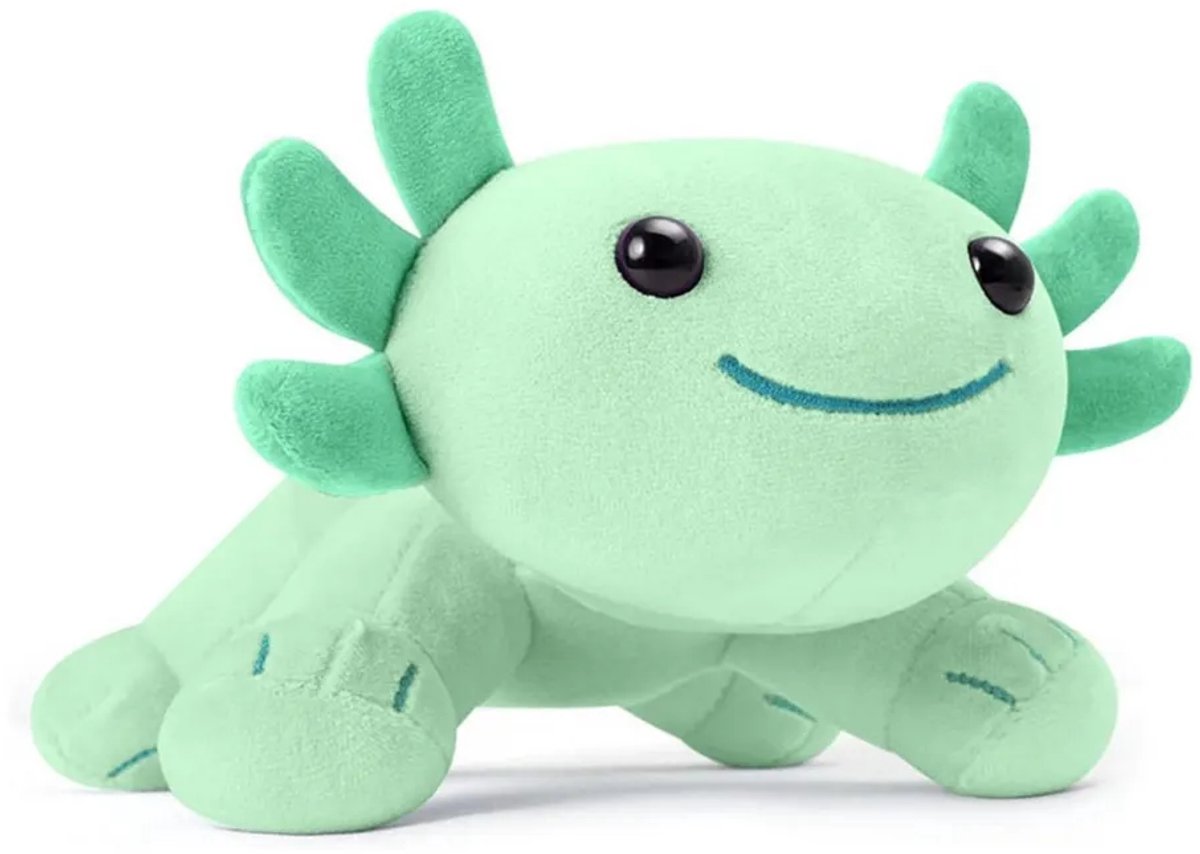 Casalora Pluche Knuffel – Schattige Salamander Knuffelr – Perfect Cadeau – 27cm – Groen