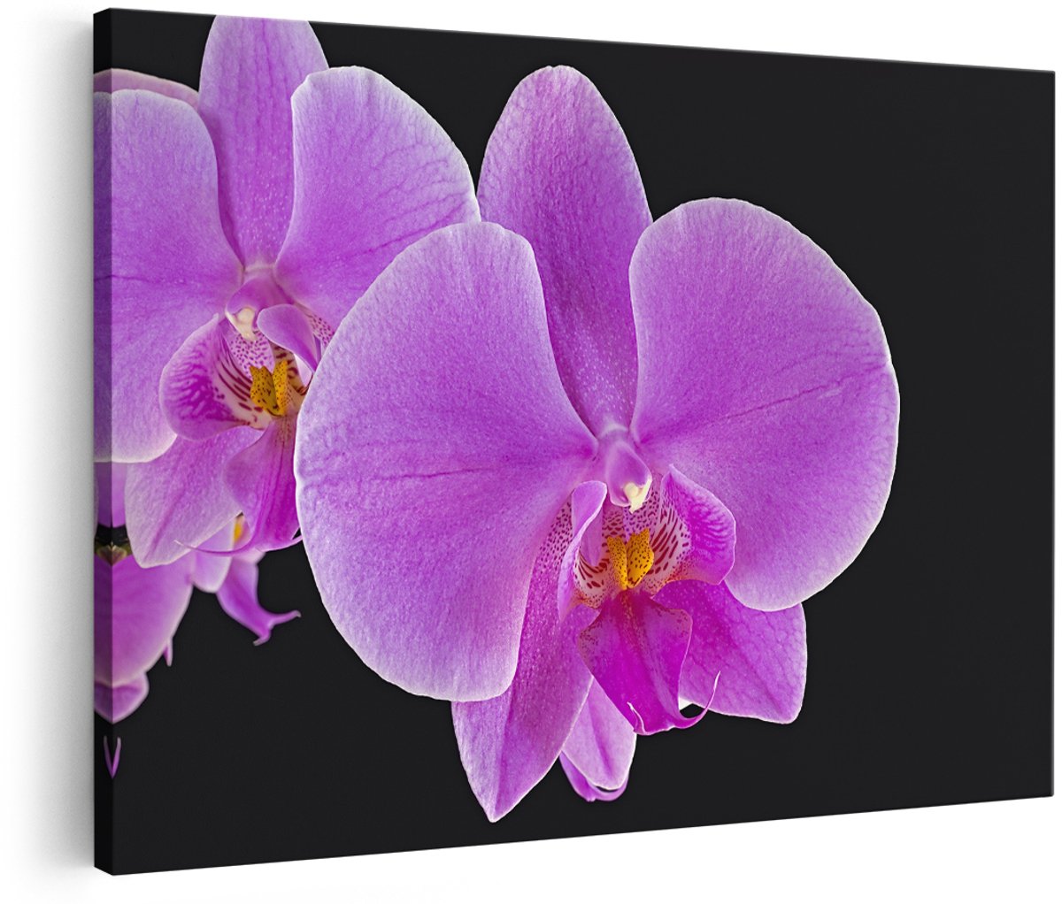 Artaza Canvas Schilderij Licht Paarse Orchidee - Bloem - 180x120 cm - Groot - Foto Op Canvas - Wanddecoratie Woonkamer