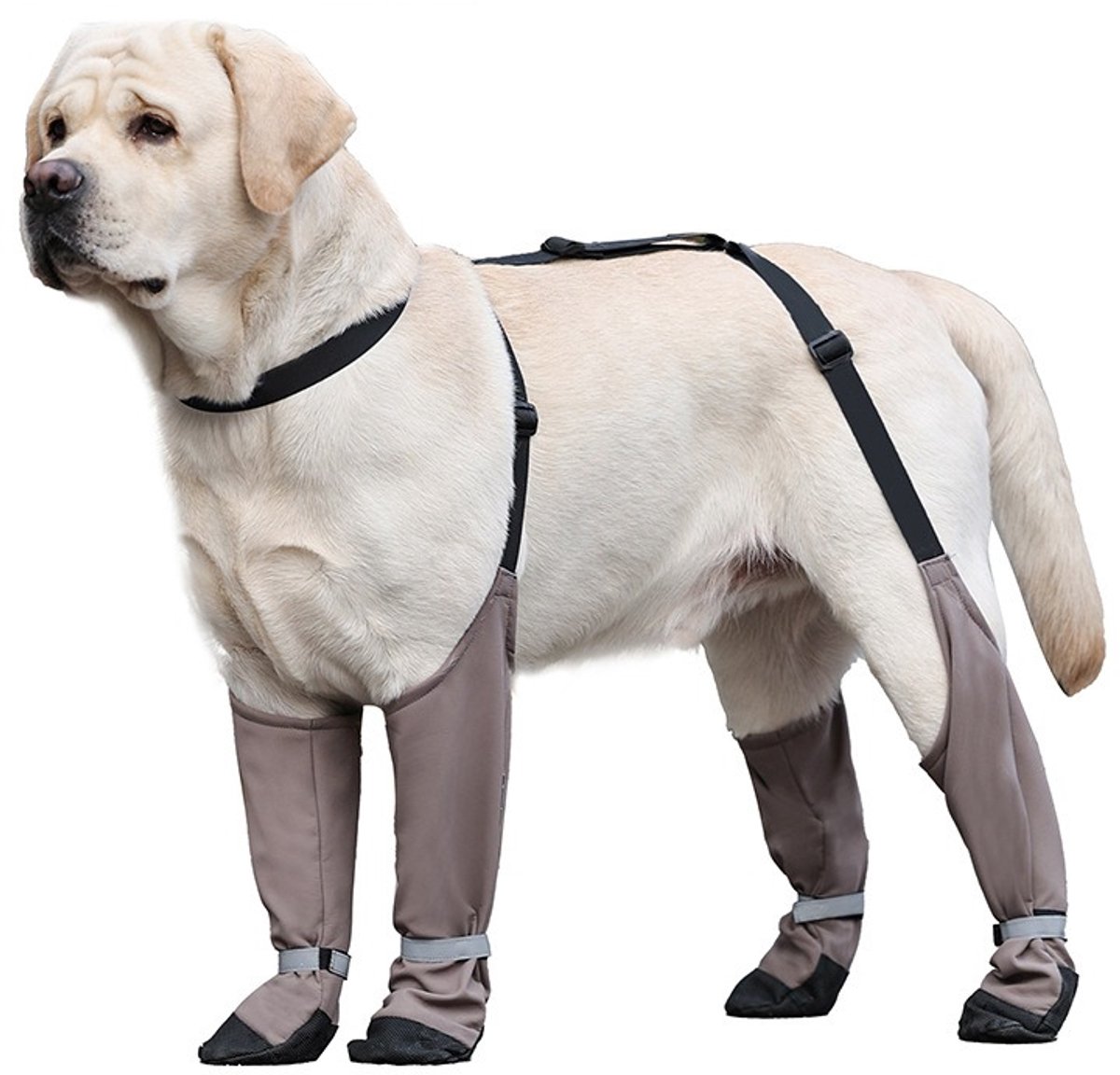Anti-Drop & Warme Hondenschoenen: Beschermende Pootbescherming voor Grote Rassen L