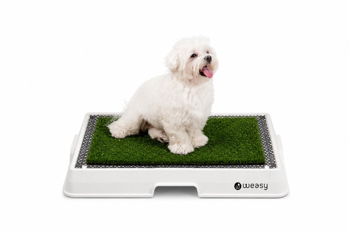 Weasy – Slim potje voor honden – Wit en grijs – Klein – Met Weasy Bag en synthetische grasmat