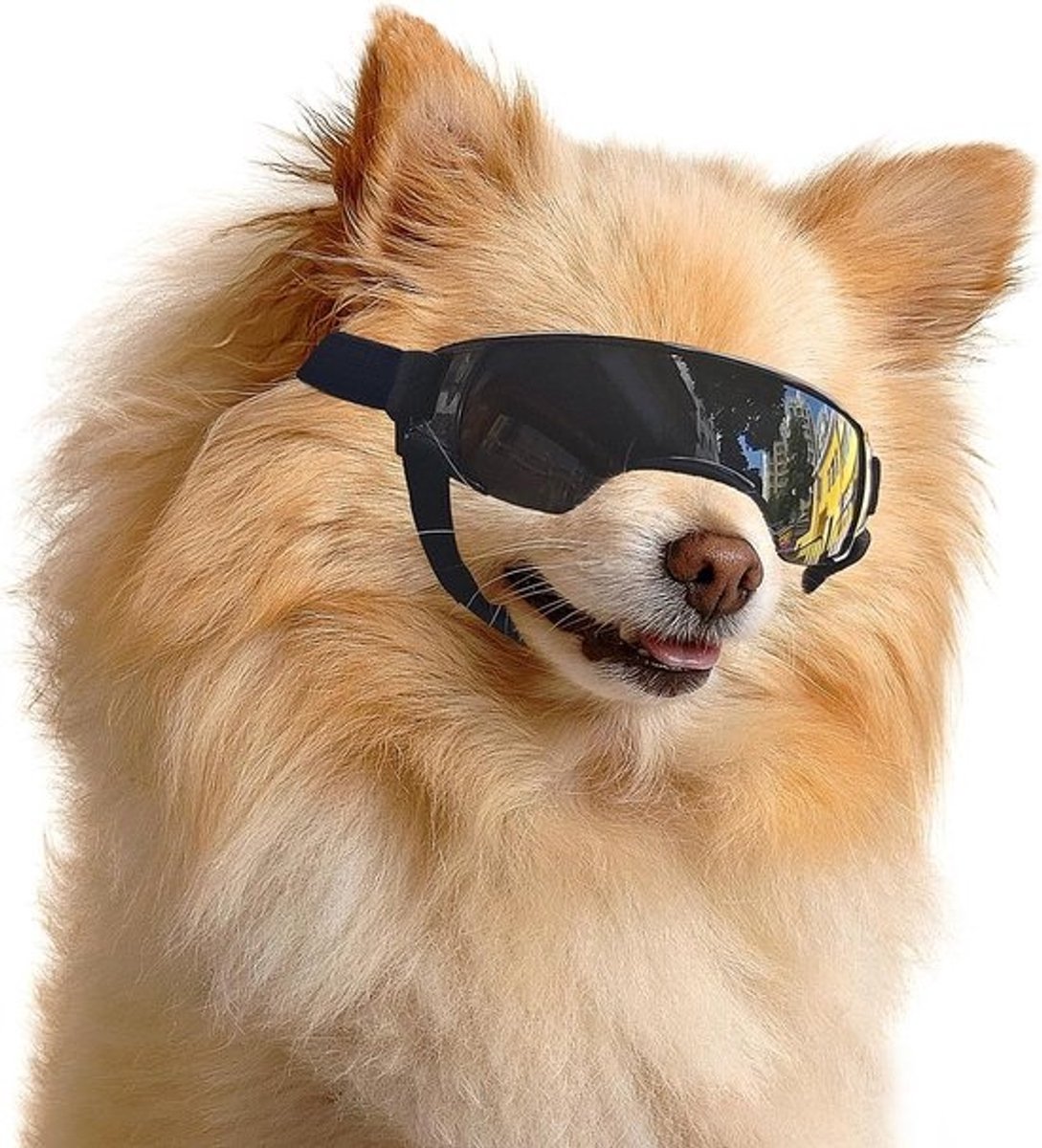 Honden zonnebril - Huisdier bril - Oogbescherming - UV-beschermend - Verstelbaar - Zwart