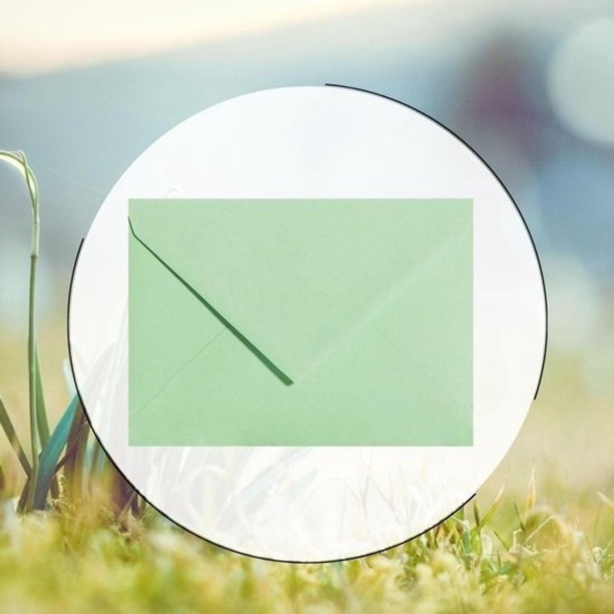 B6 Enveloppen - Briefpapier Postenvelop - Uitnodigingen Versturen - Vochtig Klevend - 125 x 175 cm - Lichtgroen
