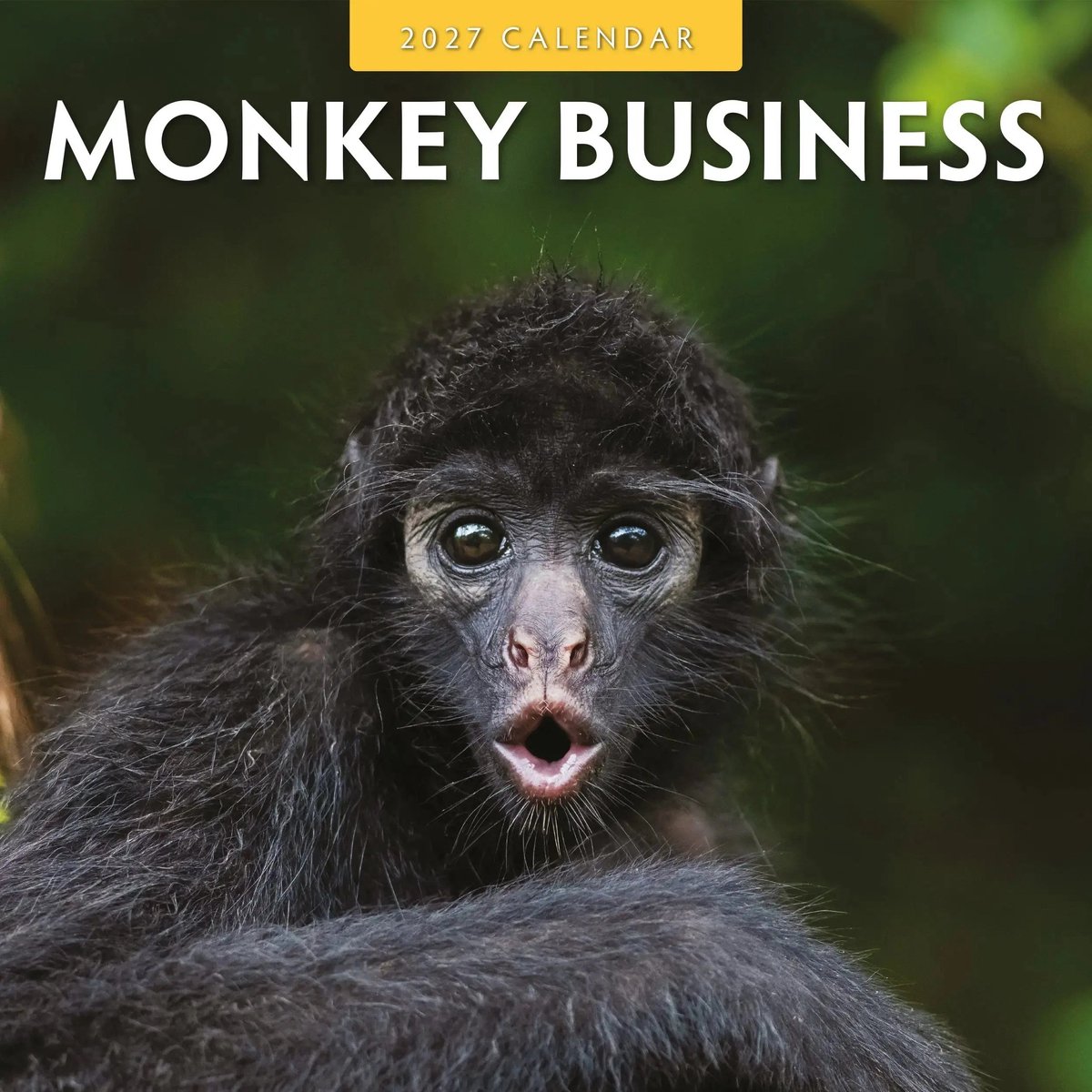 Monkey Business Kalender 2027