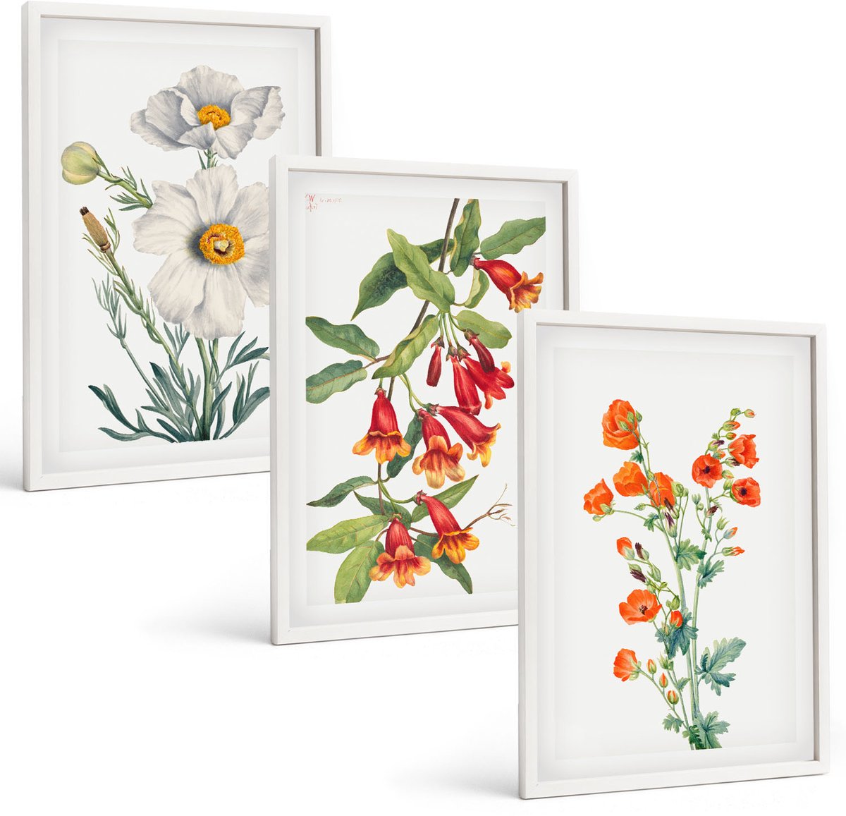 Wallfluent 3-Delige Schilderij Set - Bloemcomposities Retro Vintage Schilderij - 40 x 60 - Muurdecoratie - Wanddecoratie - Hal - Decoratieve Schilderijen