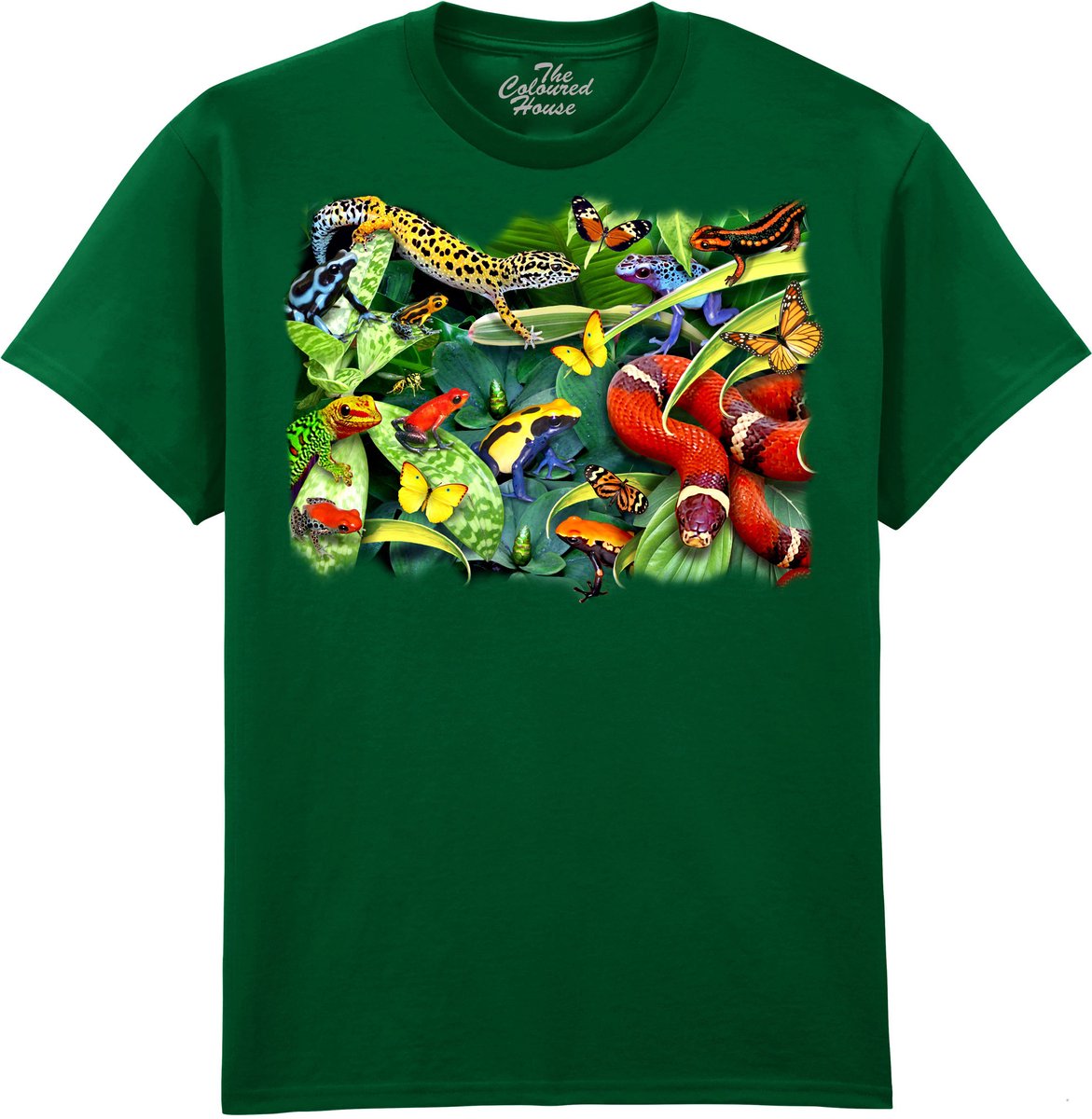 Kikkers Gecko Slang Jumpers And Crawlers The Coloured House T-shirt L