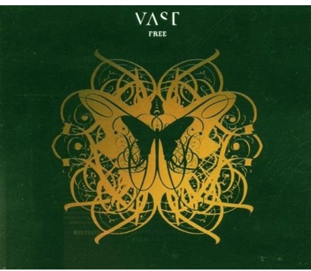 Vast-Vrije CD Speler - Draagbare Muziek - Muziek Luisteren - Compact Ontwerp - 91 gram