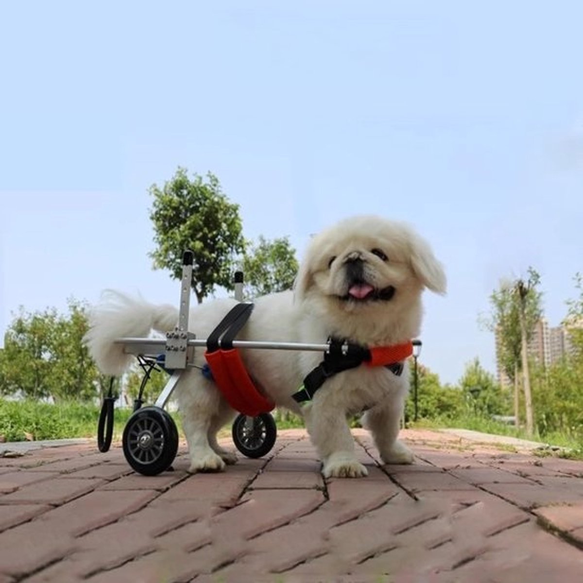 Hondenrolstoel Achterpoten - Mobiliteitshulp Honden - Ondersteuning Lopen - Verstelbaar 2-wiel - Klein tot Groot