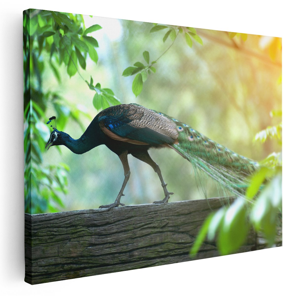 Artaza Canvas Schilderij Pauw Loopt Op Een Tak In De Natuur - 160x120 cm - Groot - Wanddecoratie Woonkamer - Schilderijen - Muurdecoratie