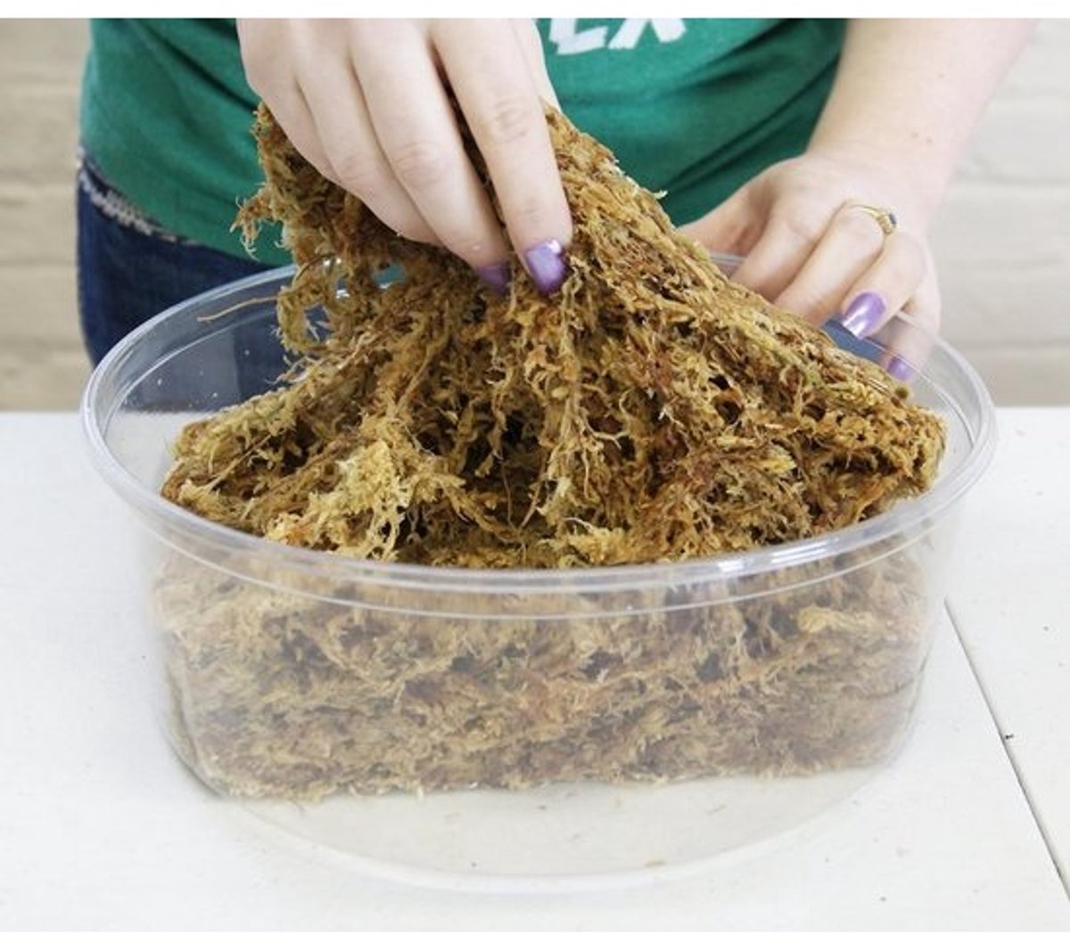 Sphagnum Mos voor Planten - Hoogwaardige Groeimedium (100 gram)