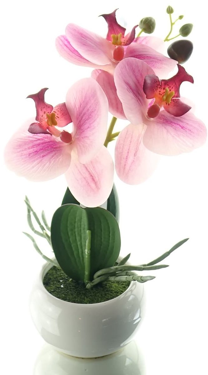 Gasper Orchidee Lila in Ronde Pot 23 cm - Kunstbloemen