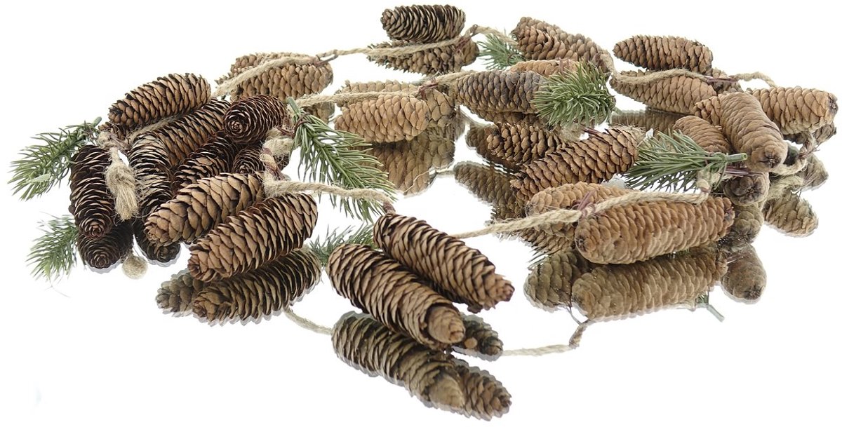 Gasper kerstslinger dennenappels met dennengroen 165 cm