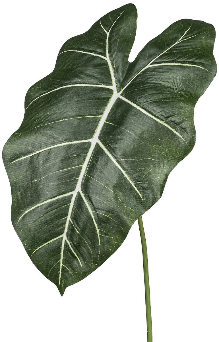 Gasper Alocasiablad Groen 58 cm - Kunstplanten