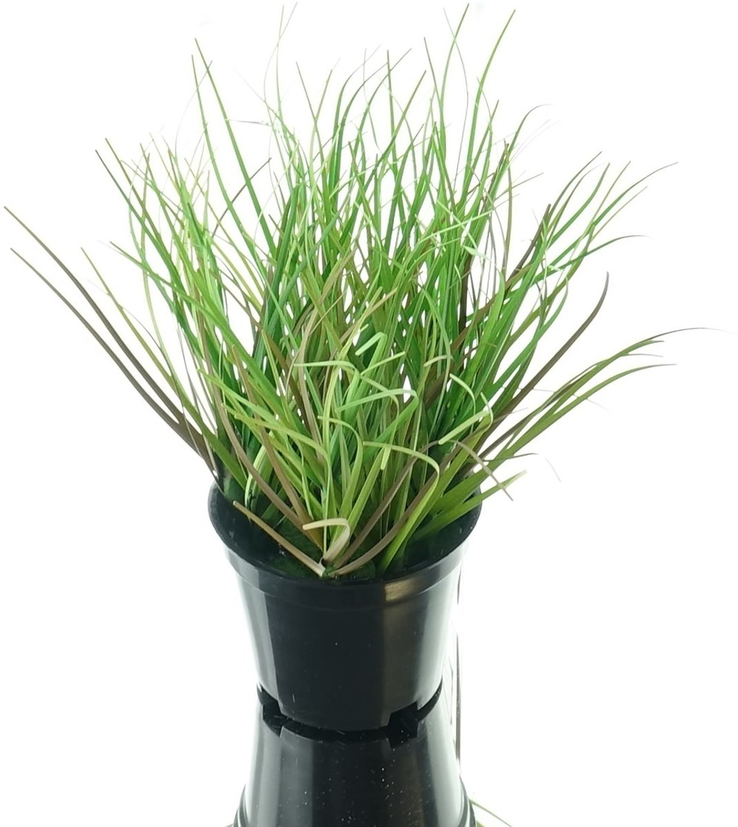Gasper Gras Groen S in Zwarte Pot Ø 8 cm - Kunstplant