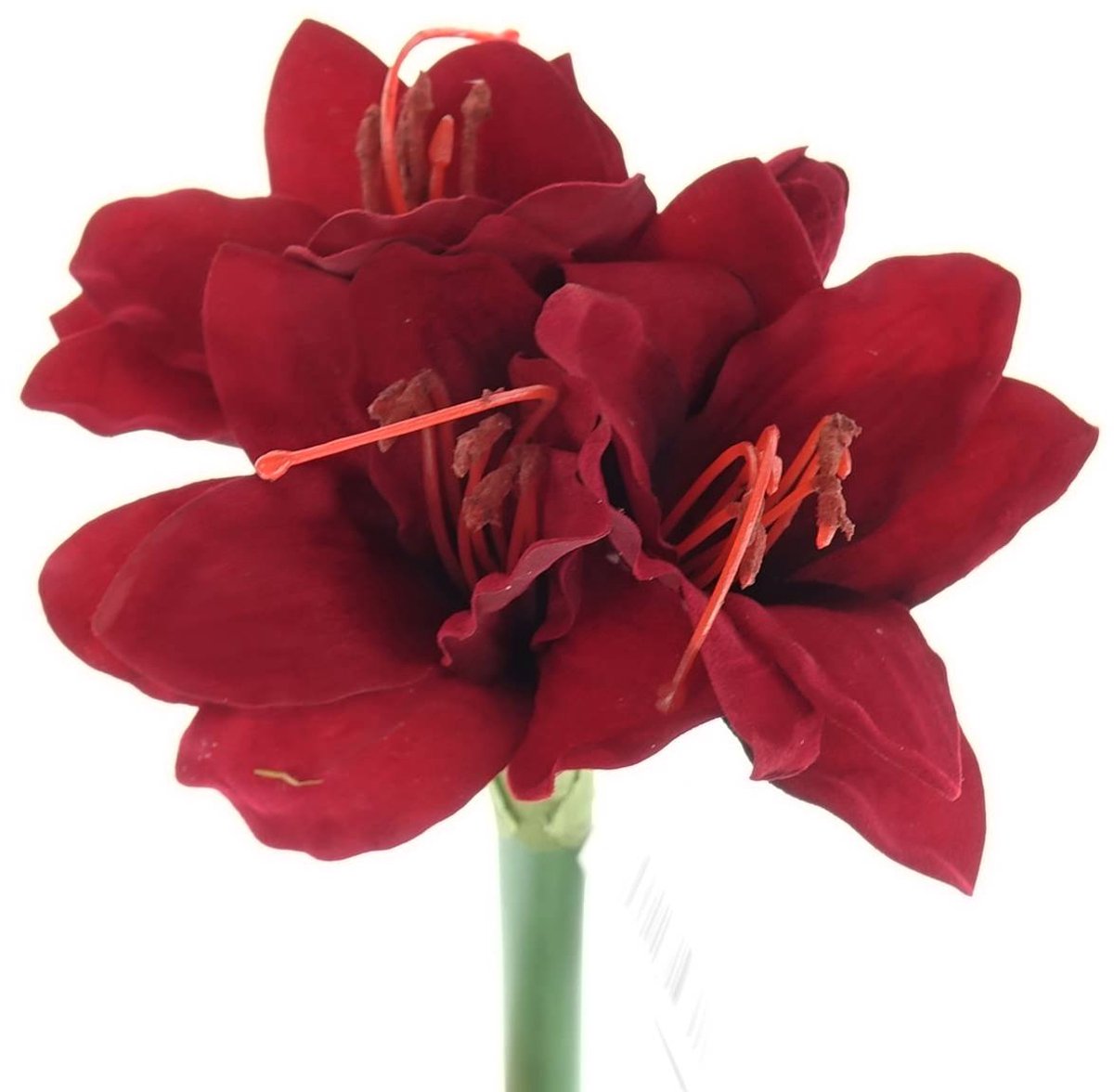 Gasper Amaryllis Rood 31 cm - Kunstbloemen